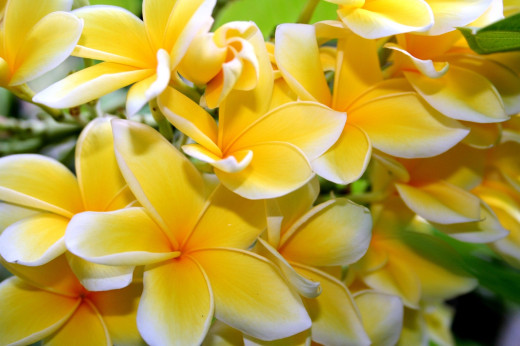 607476 (a): :2000x1330